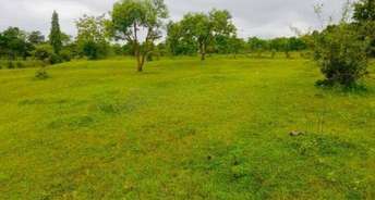  Plot For Rent in Owale Thane 6533476