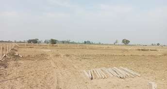  Plot For Resale in South City 1 Gurgaon 6534125