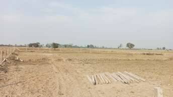  Plot For Resale in South City 1 Gurgaon 6534131