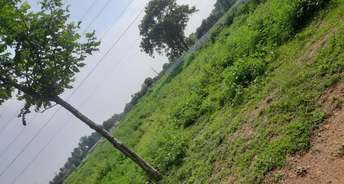 Commercial Land 4200 Sq.Ft. For Resale In Palladam Tirupur 6524973
