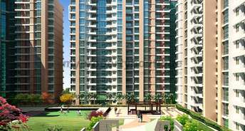 2 BHK Apartment For Resale in Amrapali Golf Homes Sector 4, Greater Noida Greater Noida 6528353