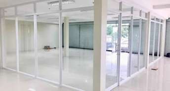 Commercial Showroom 800 Sq.Ft. For Rent In Rohini Sector 7 Delhi 6534888