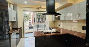 Studio Apartment For Rent in Ambience Creacions Sector 22 Gurgaon 6535528