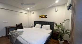 1 BHK Apartment For Rent in Ambience Creacions Sector 22 Gurgaon 6535536