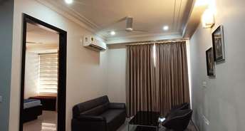 Studio Apartment For Rent in Ambience Island Lagoon Sector 24 Gurgaon 6535547