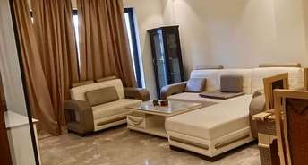 1 BHK Apartment For Rent in Alphacorp Gurgaon One 22 Sector 22 Gurgaon 6535580