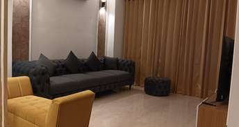 1 BHK Builder Floor For Rent in Ambience Mall Sector 24 Gurgaon 6535598