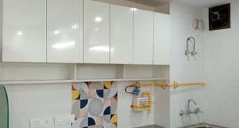 2 BHK Builder Floor For Rent in RWA Awasiya Govindpuri Govindpuri Delhi 6536035