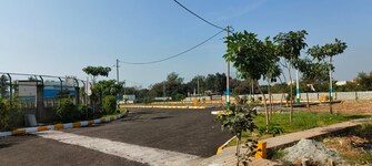 Plot For Resale in Dasanapura Bangalore  6536135