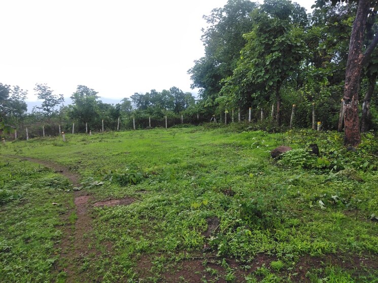 undefined, sai-na-plot  1075 Sq.Yd. Plot In Murbad Thane 6536182