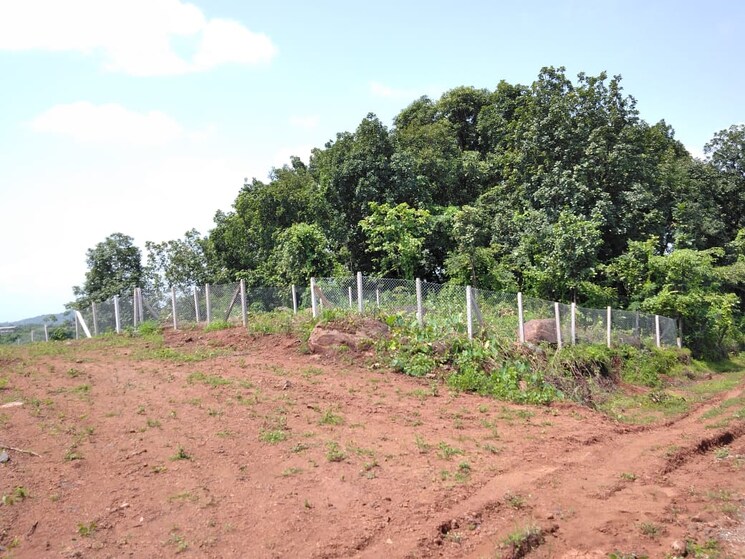 undefined, sai-na-plot  1075 Sq.Yd. Plot In Murbad Thane 6536182