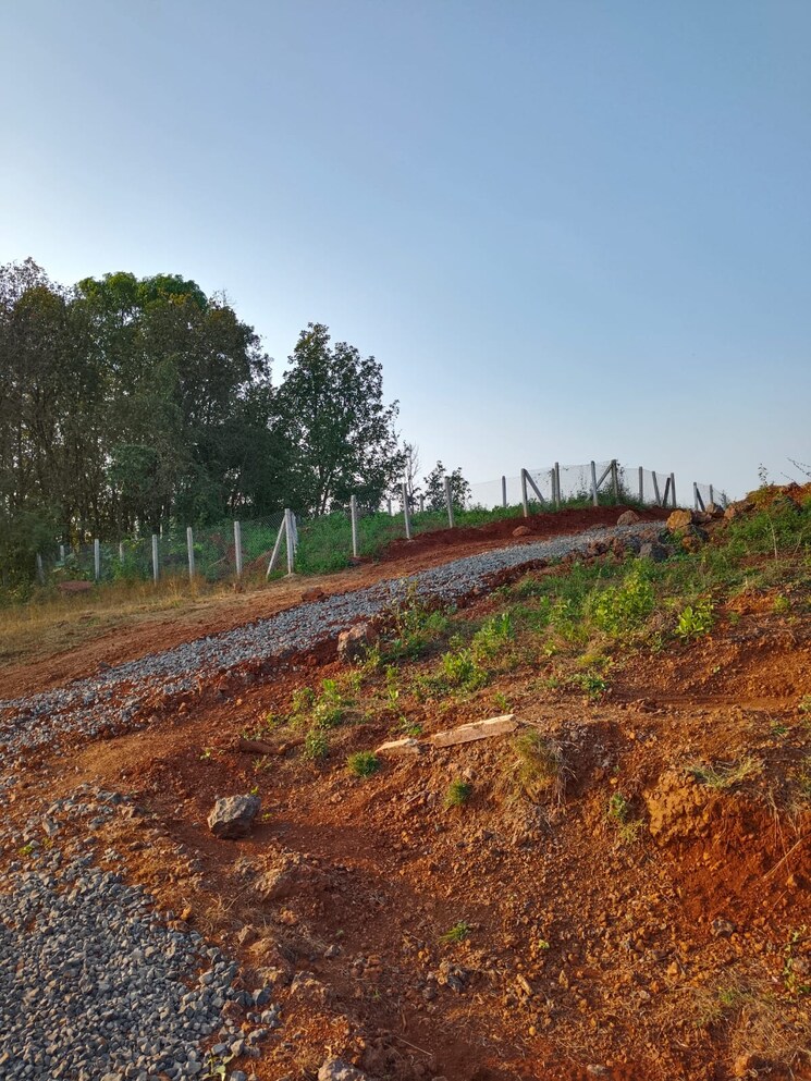 undefined, sai-na-plot  1075 Sq.Yd. Plot In Murbad Thane 6536182