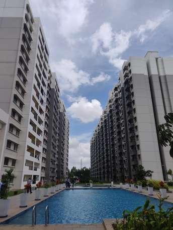 2 BHK Apartment For Rent in Sobha Dream Acres Panathur Bangalore 6536527