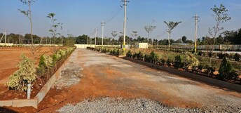 Plot For Resale in Nelamangala Bangalore  6537297