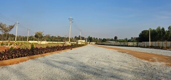 Plot For Resale in Nelamangala Bangalore  6537321