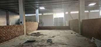 Commercial Warehouse 1000 Sq.Mt. For Rent In Sector 128 Noida 6538073