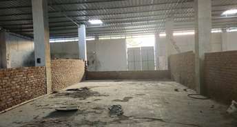 Commercial Warehouse 1000 Sq.Mt. For Rent In Sector 128 Noida 6538073