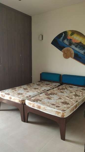 3 BHK Builder Floor For Rent in New Palam Vihar Gurgaon 6538403