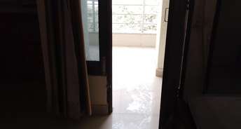 1 RK Builder Floor For Rent in Sushant Lok 1 Sector 43 Gurgaon 6538611