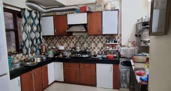 3 BHK Apartment For Rent in RPS Savana Sector 88 Faridabad 6538813