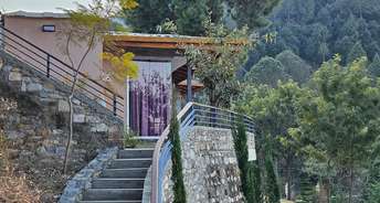 Studio Independent House For Resale in Kainchi Dham Nainital 6539092