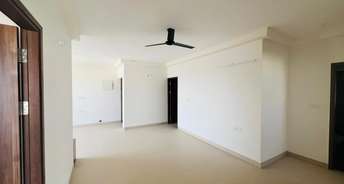 3 BHK Apartment For Rent in Skav Ohana Kr Puram Bangalore 6539387