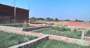  Plot For Resale in Ismailpur Faridabad 6539569
