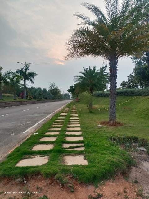 Plot For Resale in Sohna Gurgaon  6539648