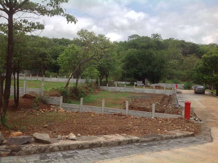 Prime Location Road Touch Plots In Badlaur