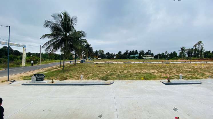 Prime Location Road Touch Plots In Badlaur