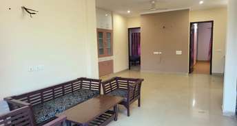 3 BHK Builder Floor For Rent in Mayfield Garden Gurgaon 6540482