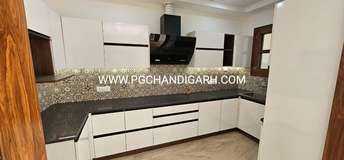 3 BHK Builder Floor For Rent in Sector 34 Chandigarh 6541413