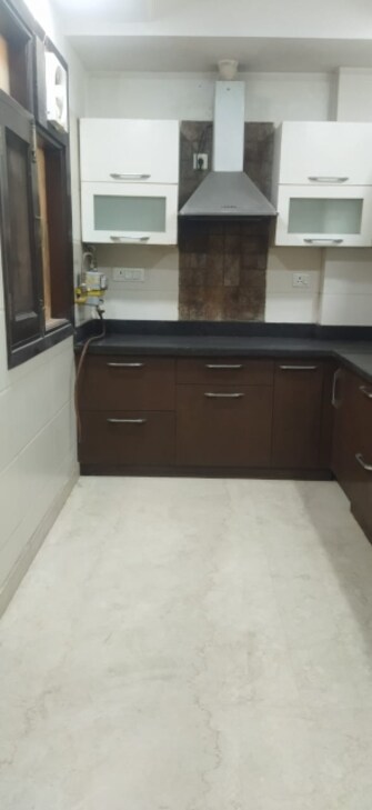 4 BHK Builder Floor For Resale in Greater Kailash I Delhi  6541823