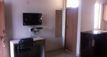 1 RK Apartment For Rent in Sector 24 Gurgaon 6541843