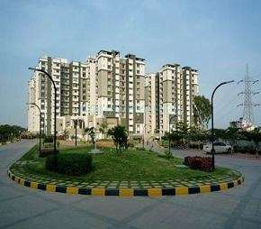 3 BHK Apartment For Rent in Sobha Daffodil Hsr Layout Bangalore  6541851