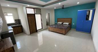 Studio Independent House For Rent in Dlf Cyber City Sector 24 Gurgaon 6541909