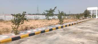  Plot For Resale in Kukatpally Hyderabad 6542113