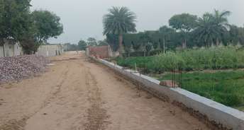  Plot For Resale in Sector 139 Faridabad 6542227