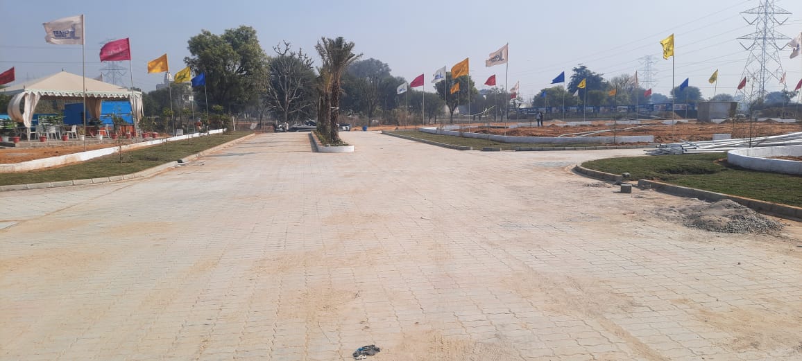  Plot For Resale in Ajmer Road Jaipur 6542405