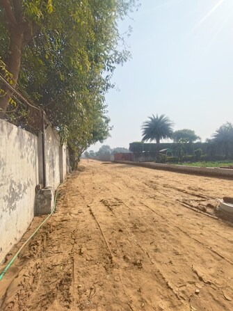 Plot For Resale in Sector 61 Faridabad  6543142