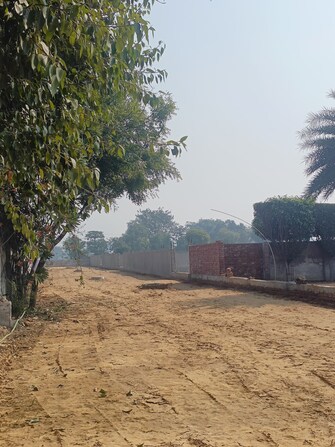 Plot For Resale in Sector 61 Faridabad  6543142