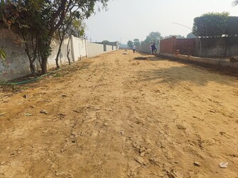 Plot For Resale in Sector 61 Faridabad  6543142