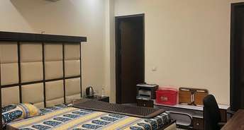 3 BHK Builder Floor For Rent in DLF Atria Dlf Phase ii Gurgaon 6543267
