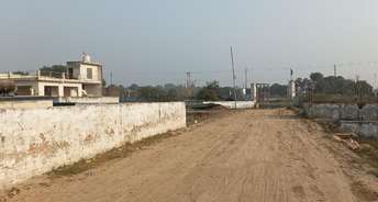  Plot For Rent in Sikri Faridabad 6543485