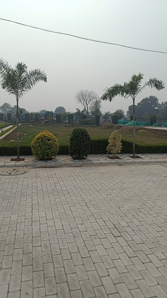 Plot For Resale in Sector 97 Faridabad  6543517