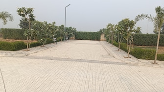 Plot For Resale in Omaxe City - Omaxe Heights Sector 97 Faridabad  6544051