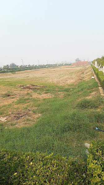 Plot For Resale in Omaxe City - Omaxe Heights Sector 97 Faridabad  6544051