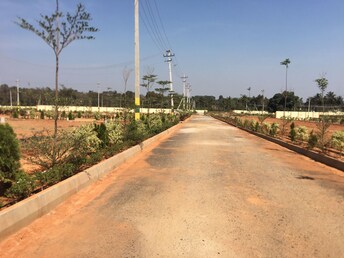 Plot For Resale in Nelamangala Bangalore  6544059