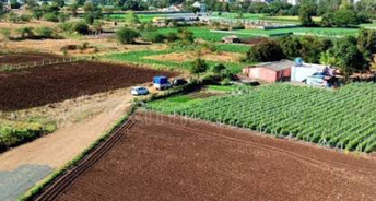 Commercial Land 2 Acre For Resale In Sector 8 Jhajjar 6544696