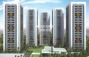 2 BHK Apartment For Resale in Mittal SkyHigh Towers Hinjewadi Pune 6544795